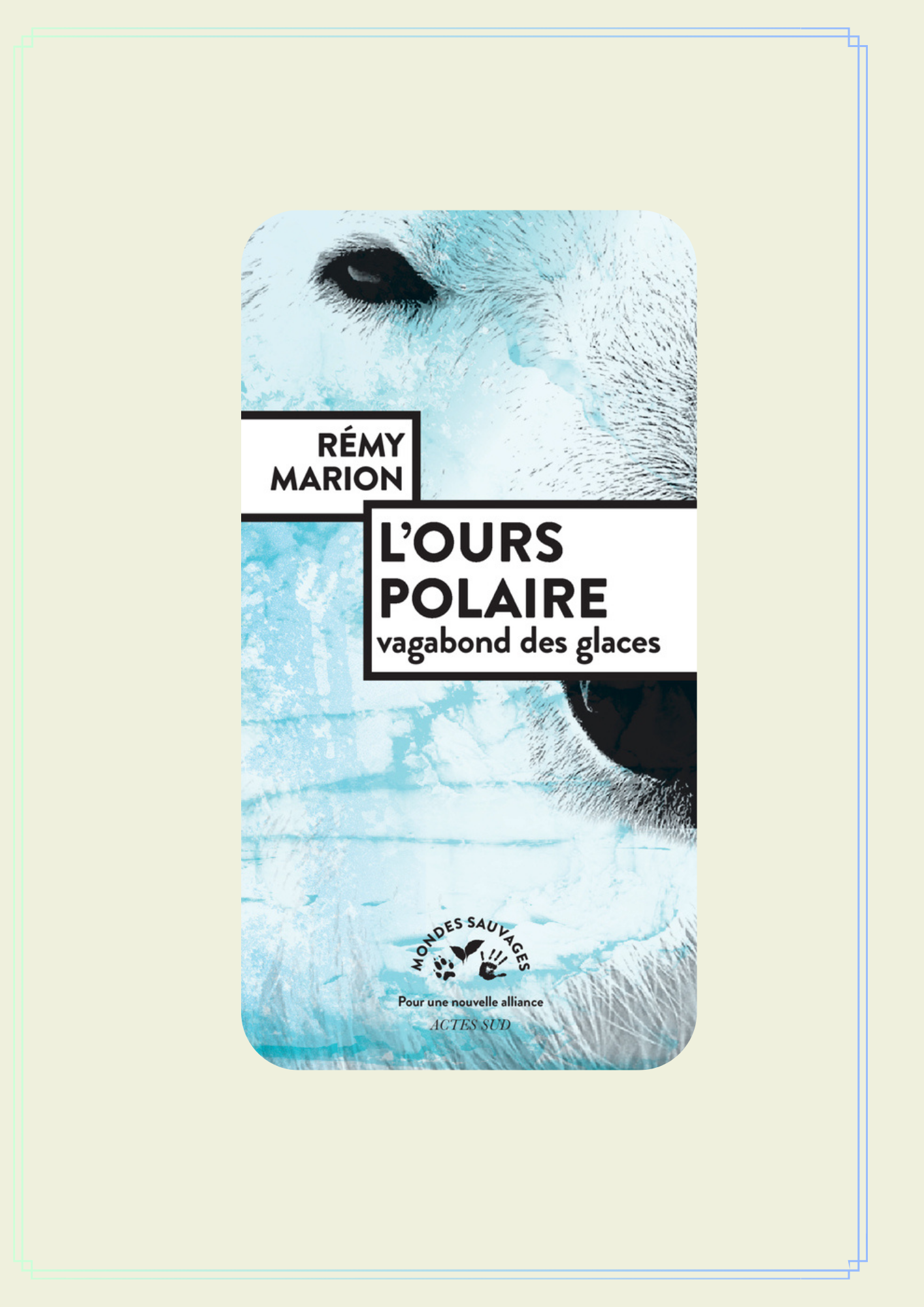 Lire la suite à propos de l’article L&rsquo;OURS POLAIRE – VAGABOND DES GLACES