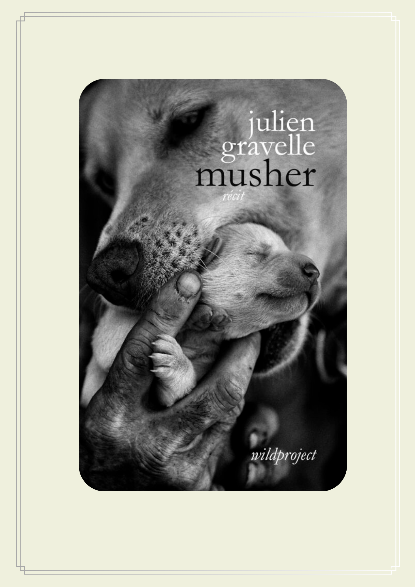 Lire la suite à propos de l’article MUSHER