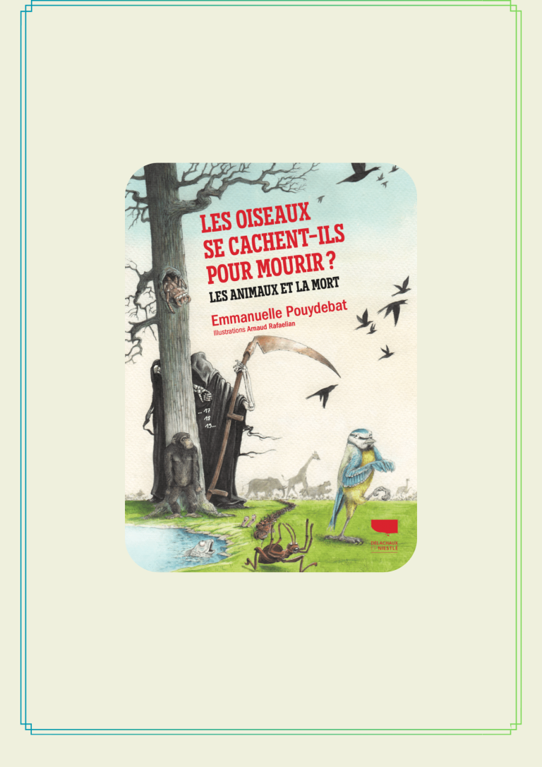 Lire la suite à propos de l’article LES OISEAUX SE CACHENT-ILS POUR MOURIR ?