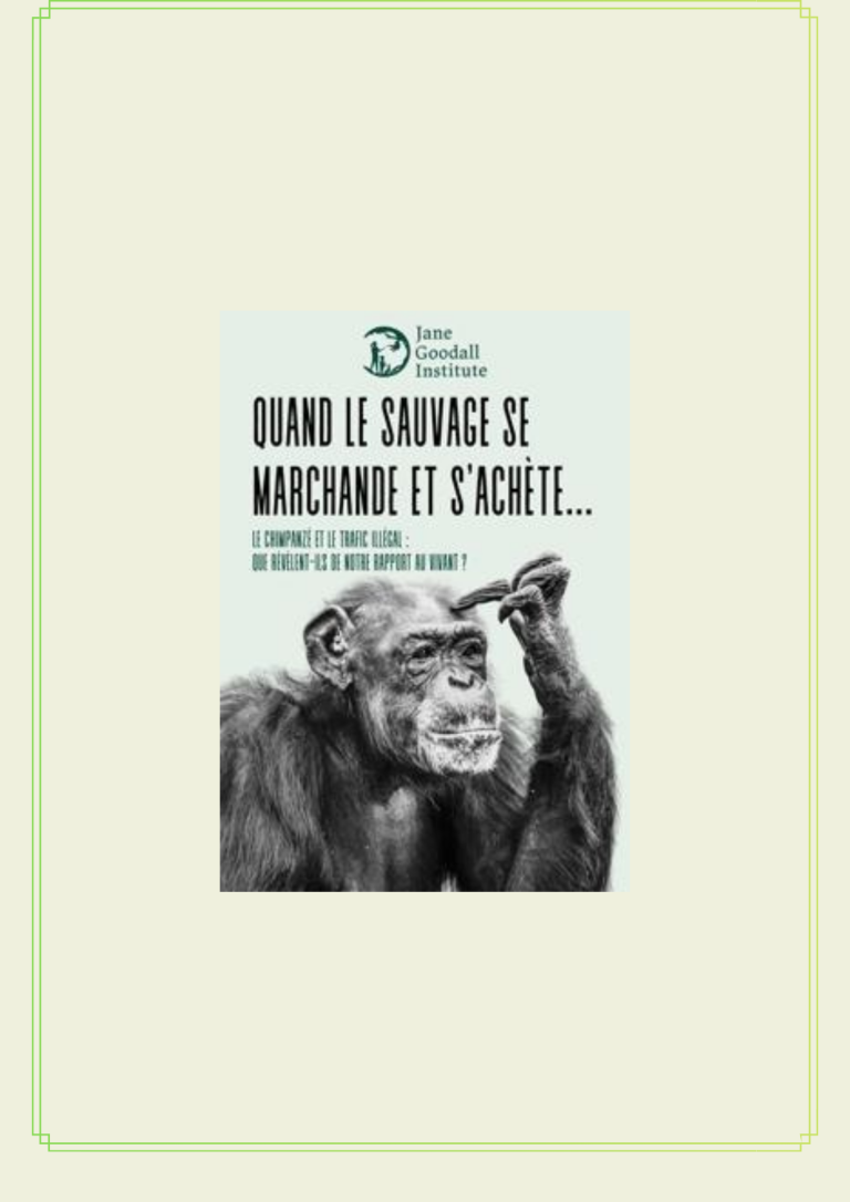 Lire la suite à propos de l’article QUAND LE SAUVAGE SE MARCHANDE ET S&rsquo;ACHÈTE