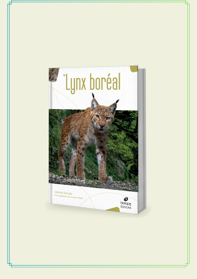 Lire la suite à propos de l’article LE LYNX BOREAL